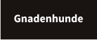 Gnadenhunde