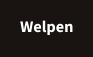 Welpen