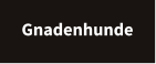 Gnadenhunde