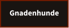 Gnadenhunde