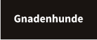 Gnadenhunde
