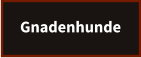 Gnadenhunde