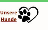 Unsere  Hunde