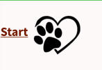 Start