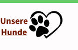 Unsere  Hunde